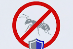 Fourmis