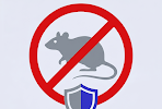 Rats & souris